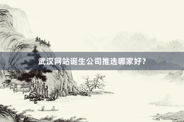 武汉网站诞生公司推选哪家好?