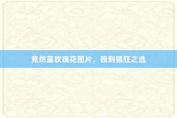 竟然蓝玫瑰花图片，独到猖狂之选