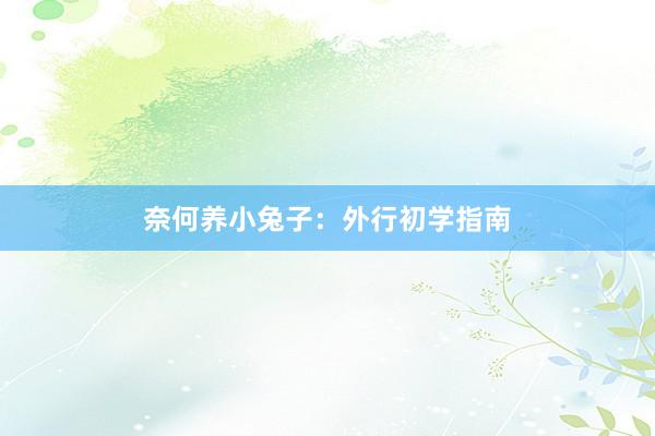 奈何养小兔子：外行初学指南